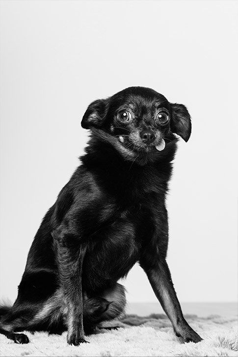Sammy